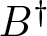 upper B dagger