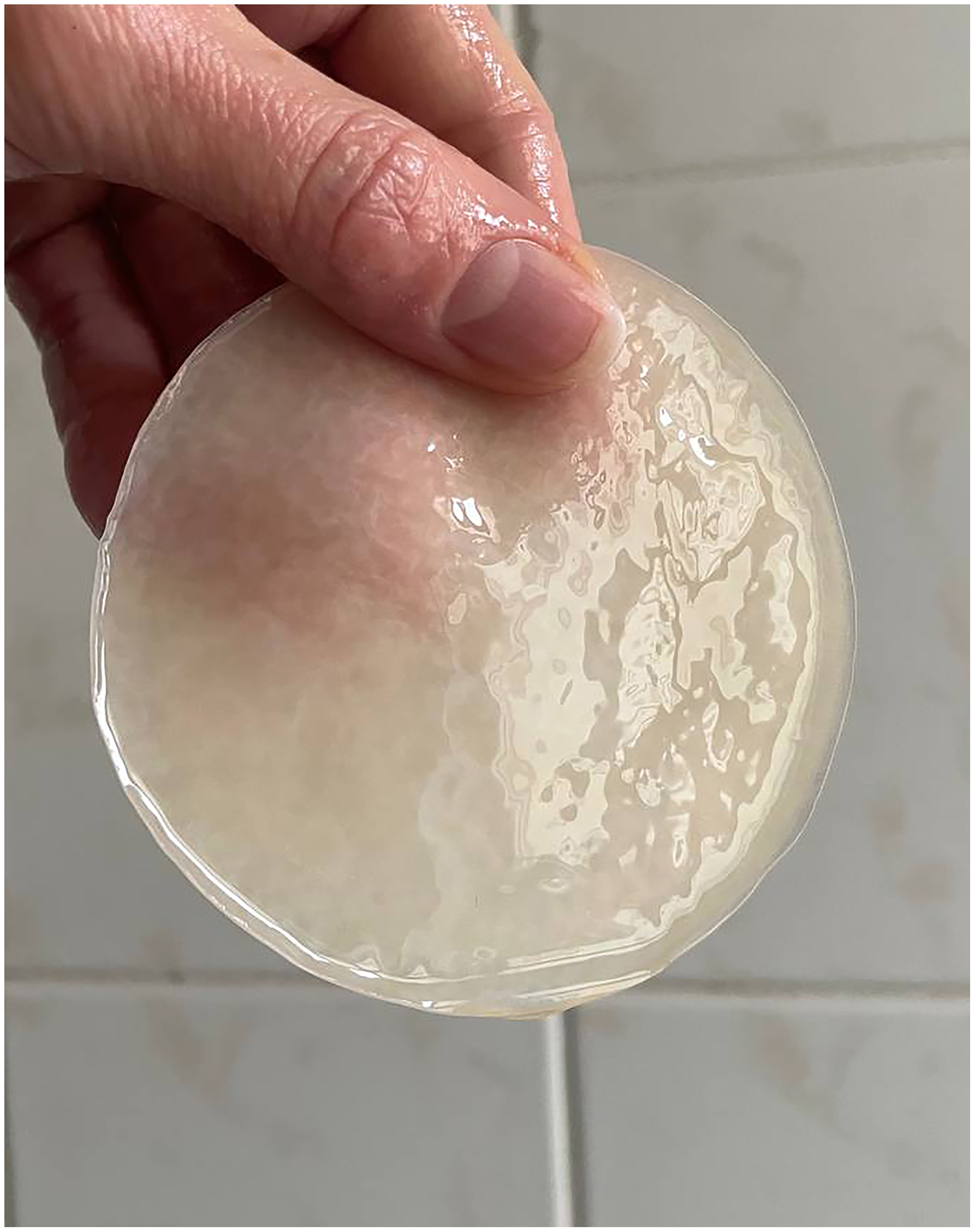 Left: Spontaneous SCOBY pellicle grown from rowan berries foraged in Berlin, September 2025.