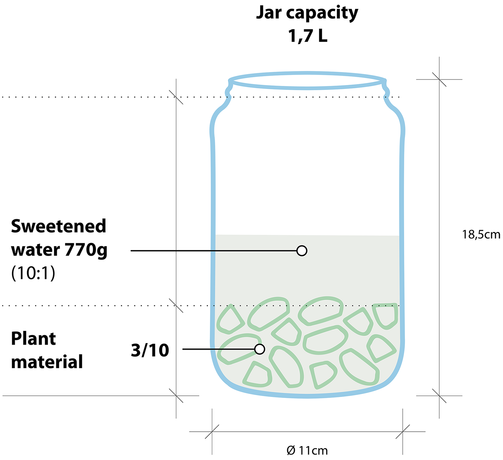 Schematic visualization of the experimental method’s medium composition in the 1.7L glass jar.