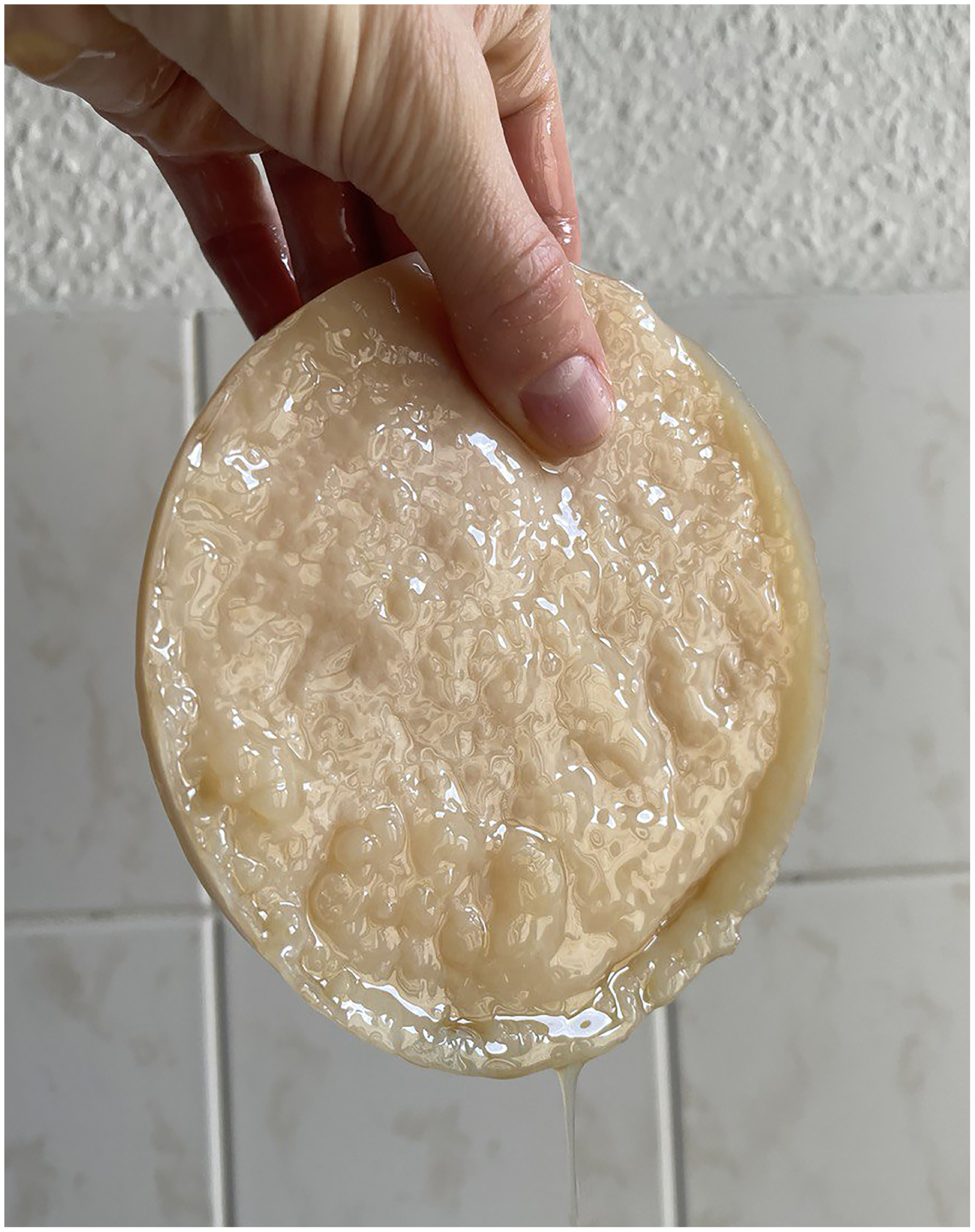 Left: Uneven first SCOBY grown from raw stinging nettles foraged in Berlin, and organic apple cider vinegar starter culture produced in Germany (Dennre), August 2025.