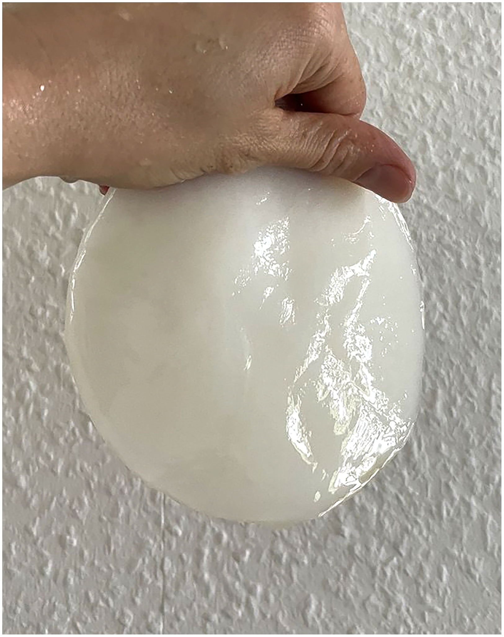Right: Homogeneous second SCOBY grown from raw stinging nettles foraged in Berlin, and organic apple cider vinegar starter culture produced in Germany (Dennre), August 2025.