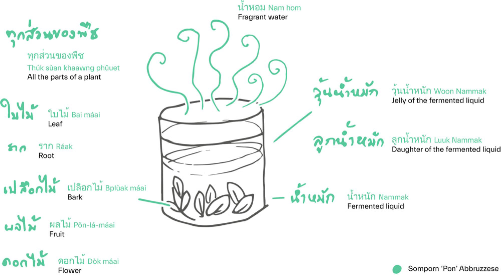 Digitized and integrated sketch with terminology in Thai and English about components of Nam Mak/FerVida provided by Somporn Abbruzzese, in Khon Buri District, Nakhon Ratchasima Province, Thailand, May 21st, 2024.