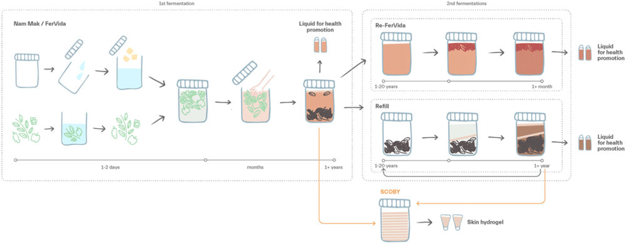Flow diagram of Nam Mak/FerVida preparation showing first and second (“Refill” fermentation stages with timelines. Both stages commonly develop spontaneous SCOBY. Based on apprenticeship work in Khon Buri, Thailand, May 20–24, 2024.