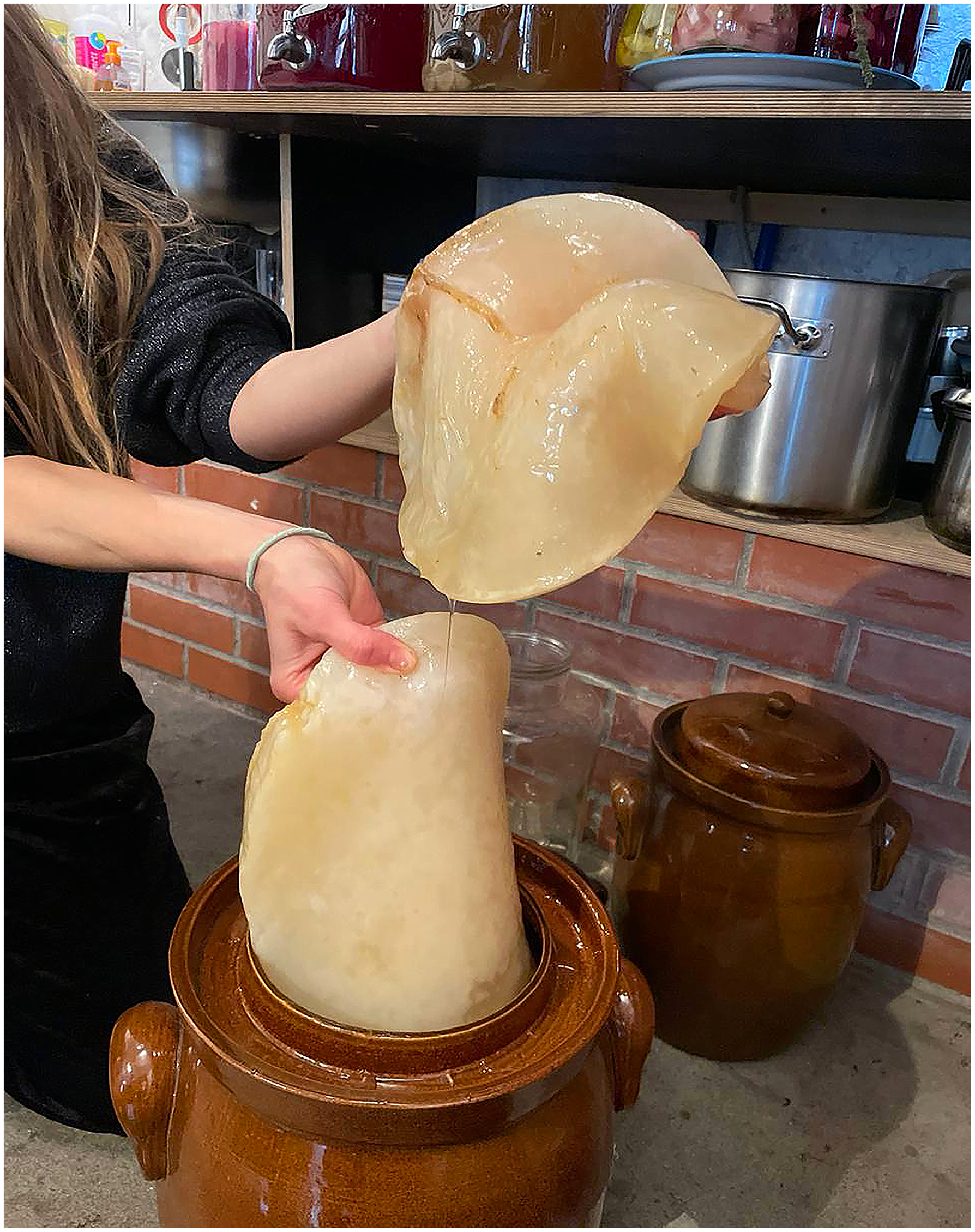 Right: Alexis Görtz showing a spontaneous SCOBY grown from wild quince vinegar in MOOS Space, Berlin, Germany, November 18th, 2024.