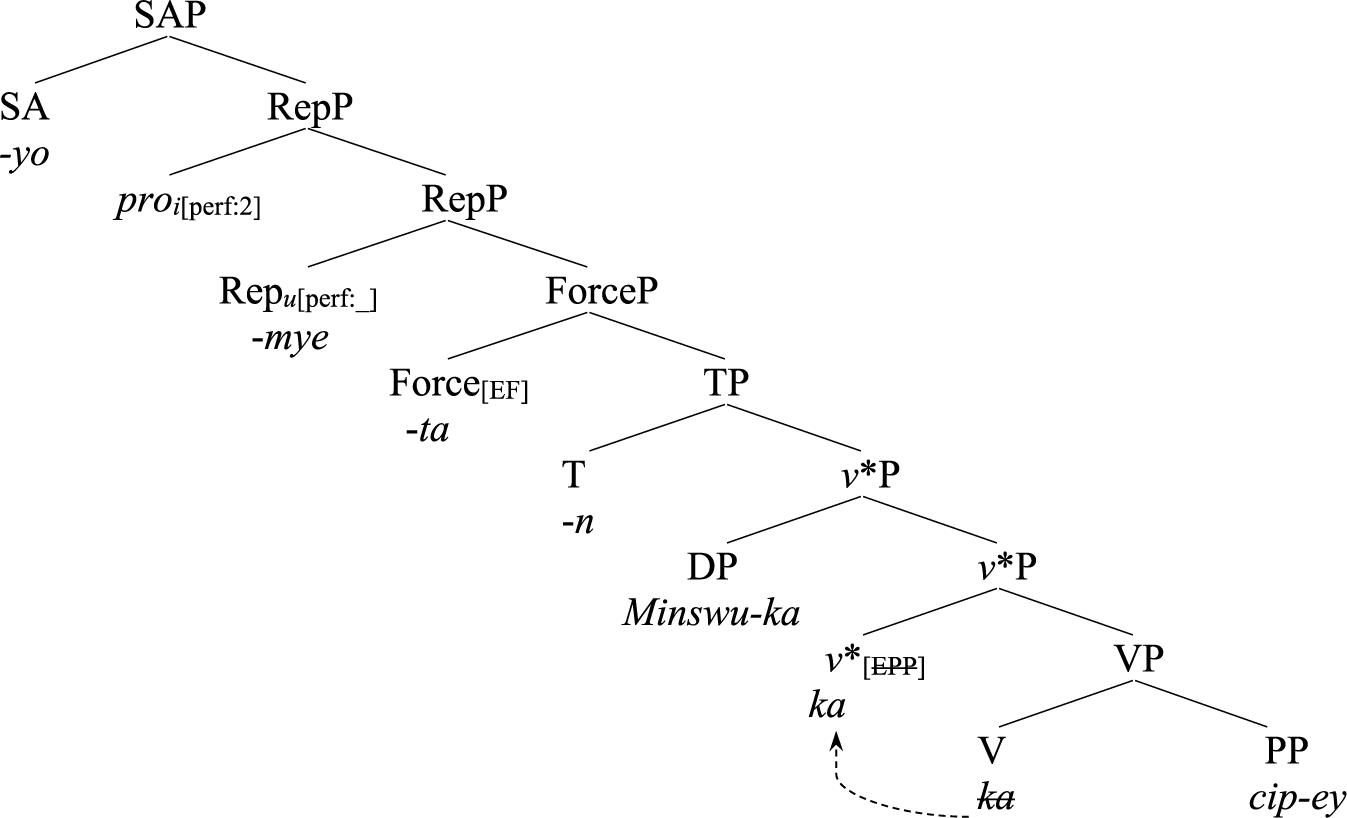 A three-panel linguistic analysis showing a syntax tree and its corresponding bracketed structural representations for a Korean sentence.