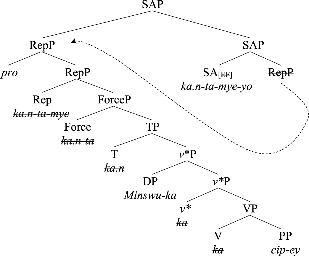 A two-panel linguistic diagram showing a syntactic tree and its corresponding bracketed derivation for a Korean sentence structure.
