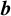 bold italic b