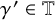 gamma prime element of double struck upper T