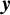 bold italic y