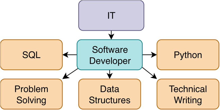 A flowchart showing I T branching into Software Developer. This central role points to five skills S Q L, Python, Problem Solving, Data Structures, and Technical Writing.