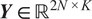 upper Y element of double struck upper R 2 upper N times upper K