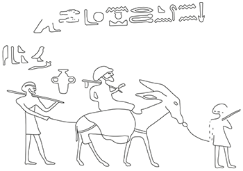 Content of image described in text.