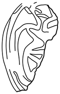 Content of image described in text.