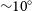 tilde 10 Superscript ring