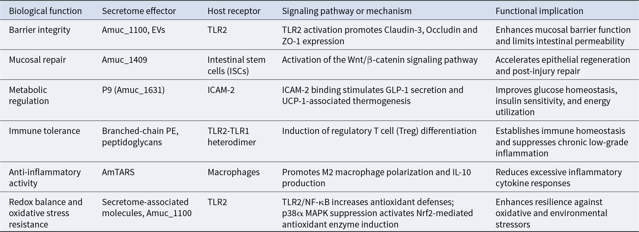 AKK secreted factors act through host receptors to strengthen gut barrier and repair, improve metabolism, promote immune tolerance, reduce inflammation, and boost antioxidant defenses. See long description.