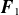 bold italic upper F 1