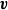 bold italic v