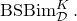 upper B upper S upper B i m Subscript script upper D Superscript upper K Baseline period