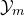 script upper Y Subscript m