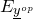 upper E Subscript y underbar Sub Superscript o p