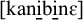 Phonetic transcription in brackets showing the word k a n i b i n epsilon. The letters i and n have horizontal bars underneath them.