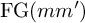 upper F upper G left parenthesis m m Superscript prime Baseline right parenthesis