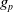 g Subscript p