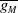 g Subscript upper M Baseline overbar