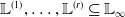 double struck upper L Superscript left parenthesis 1 right parenthesis Baseline comma ellipsis comma double struck upper L Superscript left parenthesis r right parenthesis Baseline subset of or equal to double struck upper L Subscript normal infinity Baseline