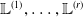 double struck upper L Superscript left parenthesis 1 right parenthesis Baseline comma ellipsis comma double struck upper L Superscript left parenthesis r right parenthesis
