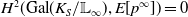 upper H squared left parenthesis Gal left parenthesis upper K Subscript upper S Baseline divided by double struck upper L Subscript normal infinity Baseline right parenthesis comma upper E left bracket p Superscript normal infinity Baseline right bracket right parenthesis equals 0