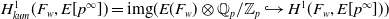 upper H Subscript k u m Superscript 1 Baseline left parenthesis upper F Subscript w Baseline comma upper E left bracket p Superscript normal infinity Baseline right bracket right parenthesis equals img left parenthesis upper E left parenthesis upper F Subscript w Baseline right parenthesis circled times double struck upper Q Subscript p Baseline divided by double struck upper Z Subscript p Baseline right arrow with hook upper H Superscript 1 Baseline left parenthesis upper F Subscript w Baseline comma upper E left bracket p Superscript normal infinity Baseline right bracket right parenthesis right parenthesis