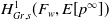 upper H Subscript upper G r comma s Superscript 1 Baseline left parenthesis upper F Subscript w Baseline comma upper E left bracket p Superscript normal infinity Baseline right bracket right parenthesis