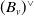 left parenthesis upper B Subscript v Baseline right parenthesis Superscript or