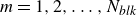 m equals 1 comma 2 comma ellipsis comma upper N Subscript italic blk Baseline