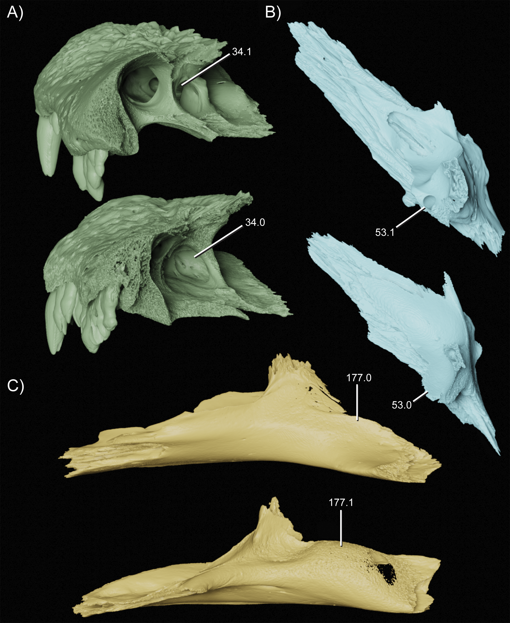 Figure 9