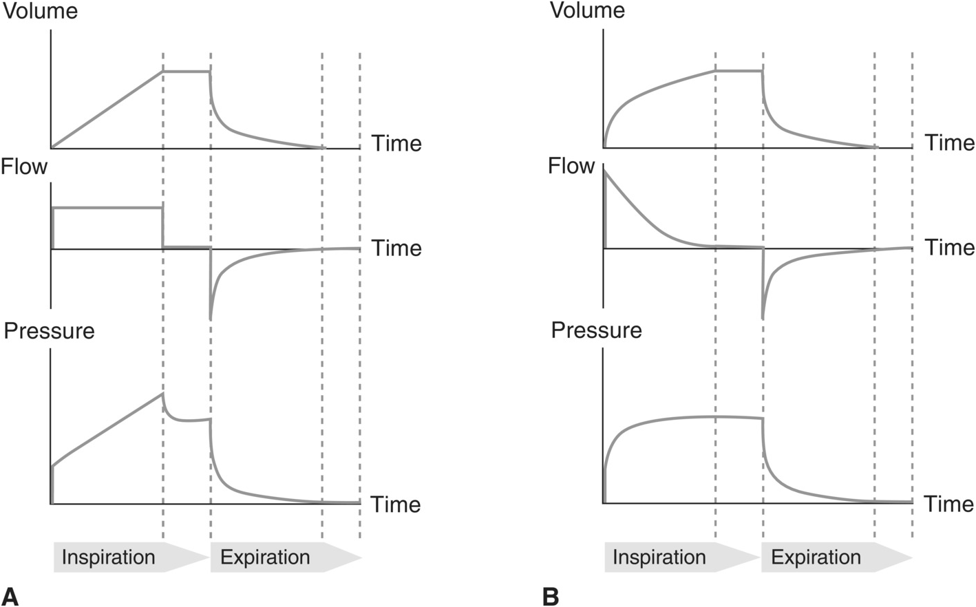 Anesthesia equipment (Section 3) - Essential Clinical Anesthesia Review