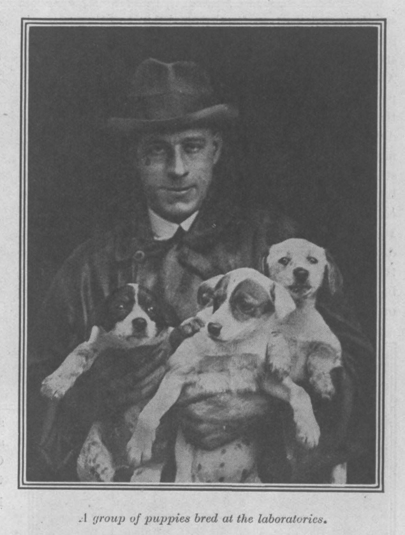 ‘Saving the lives of our dogs’ the development of canine distemper