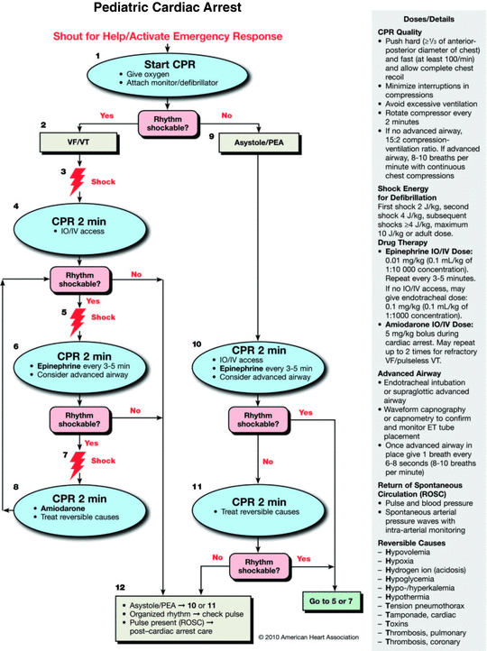 pediatric advanced life support algorithms