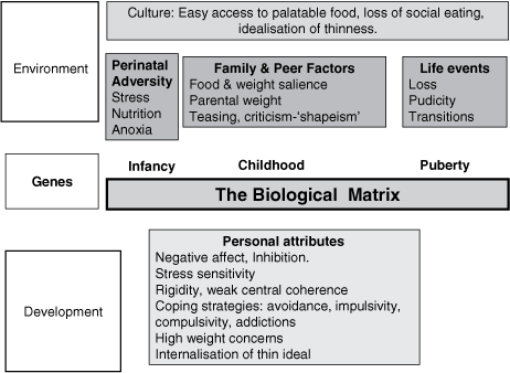 Causal And Maintaining Factors Chapter 2 Medical - 