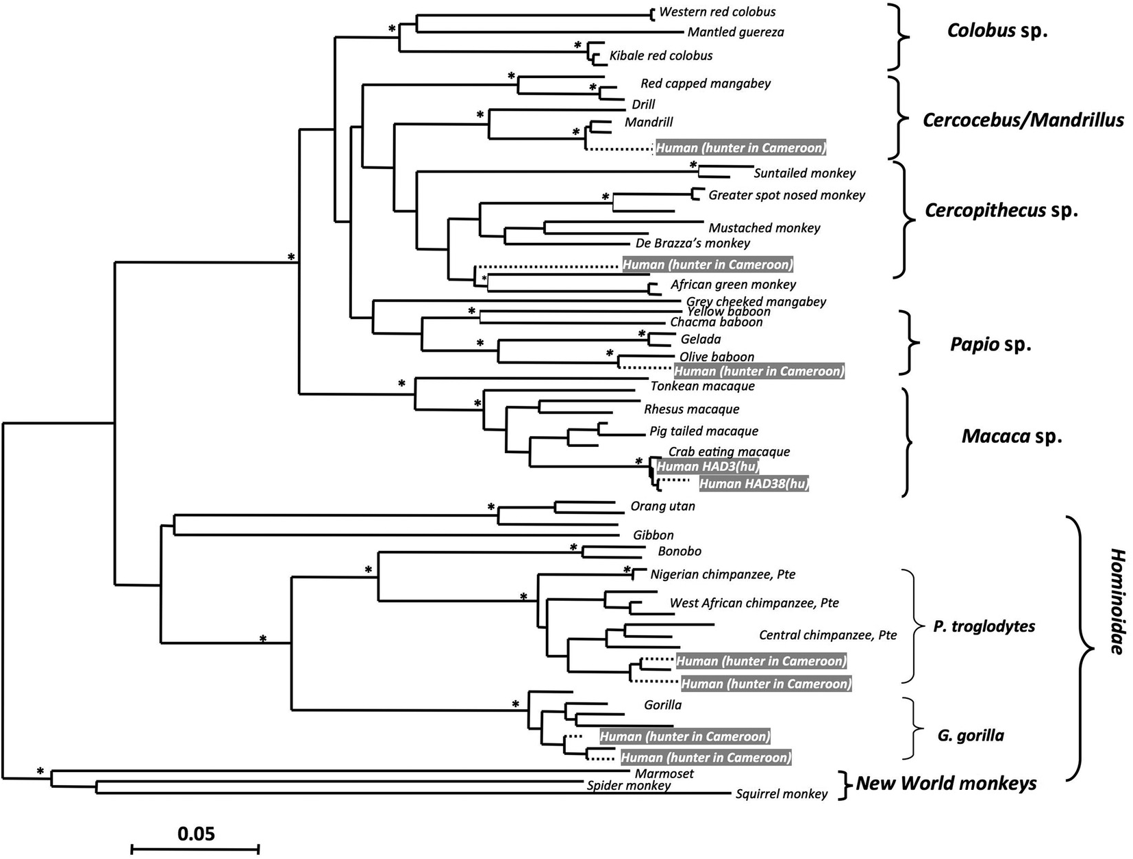 The evolutionary history of parasite diversity (Part II) - Parasite  Diversity and Diversification