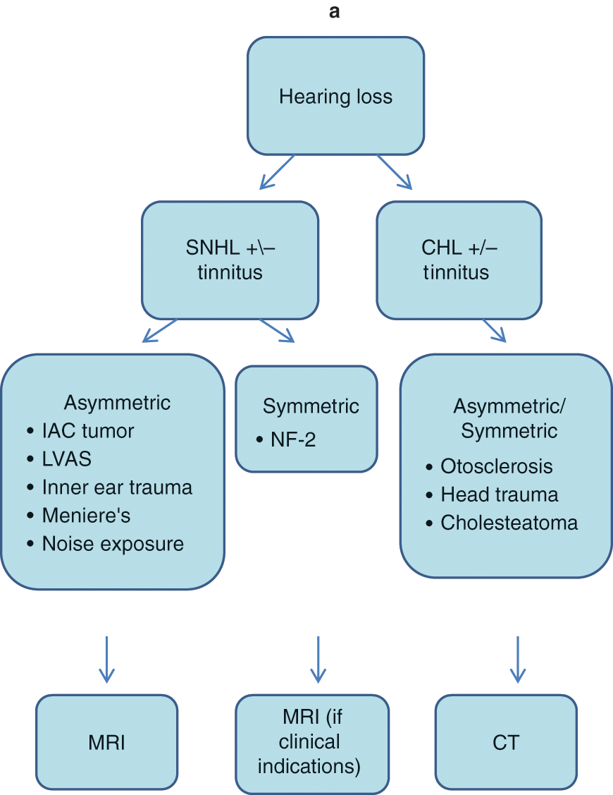 Hearing loss and tinnitus Chapter 23 Imaging Acute Neurologic