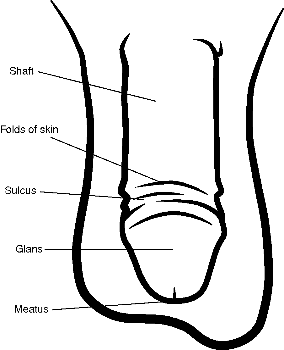 child hymen exam 