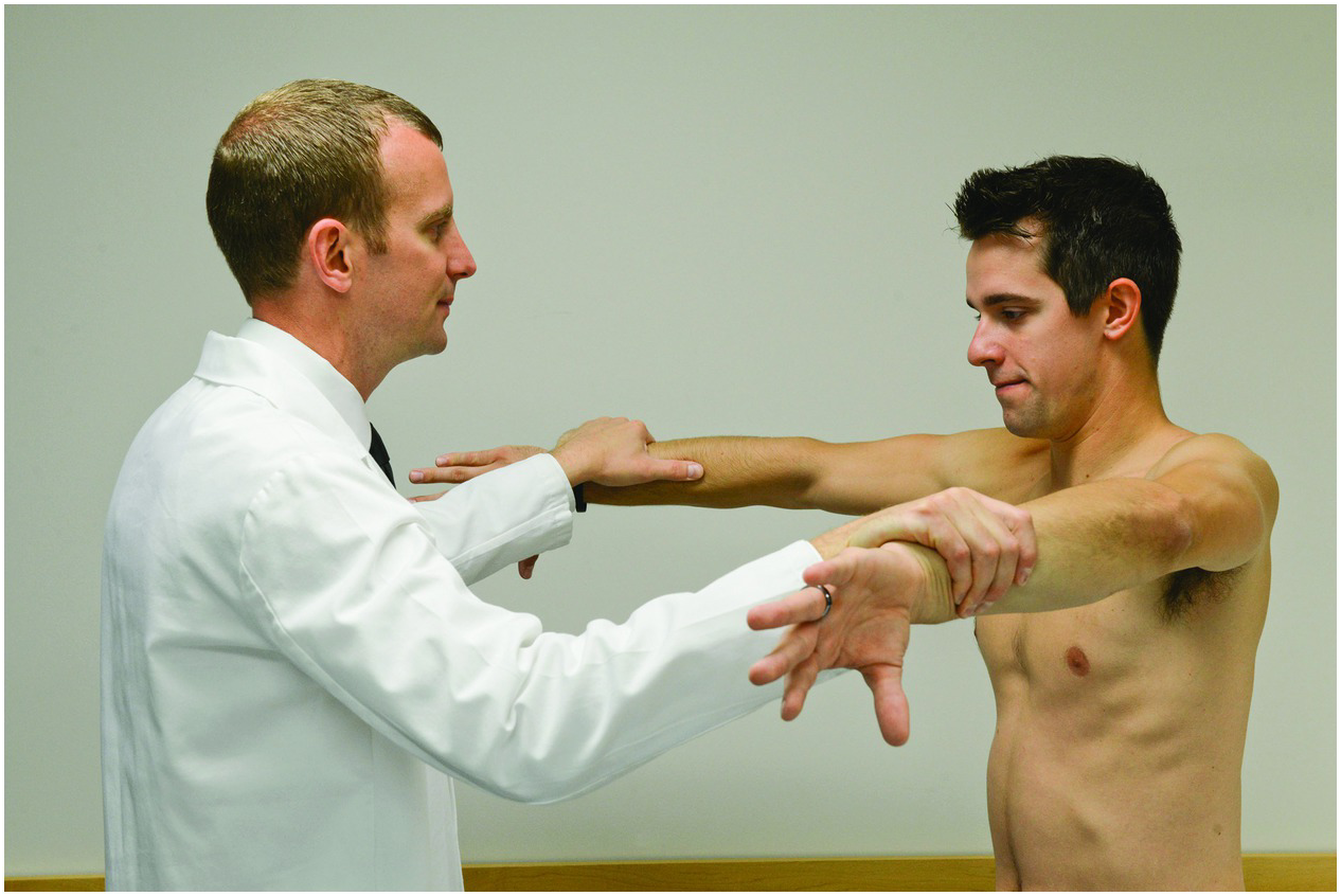 Shoulder Chapter 1 Sports Medicine For The Emergency Physician