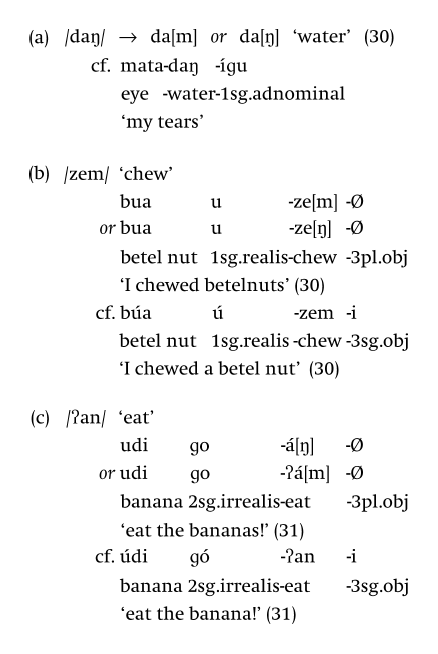 Conceptual Issues Part I The Cambridge Handbook Of Phonology