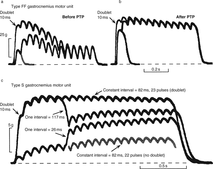 Responses of DUM neurons to stimuli with varied pulse duration, while