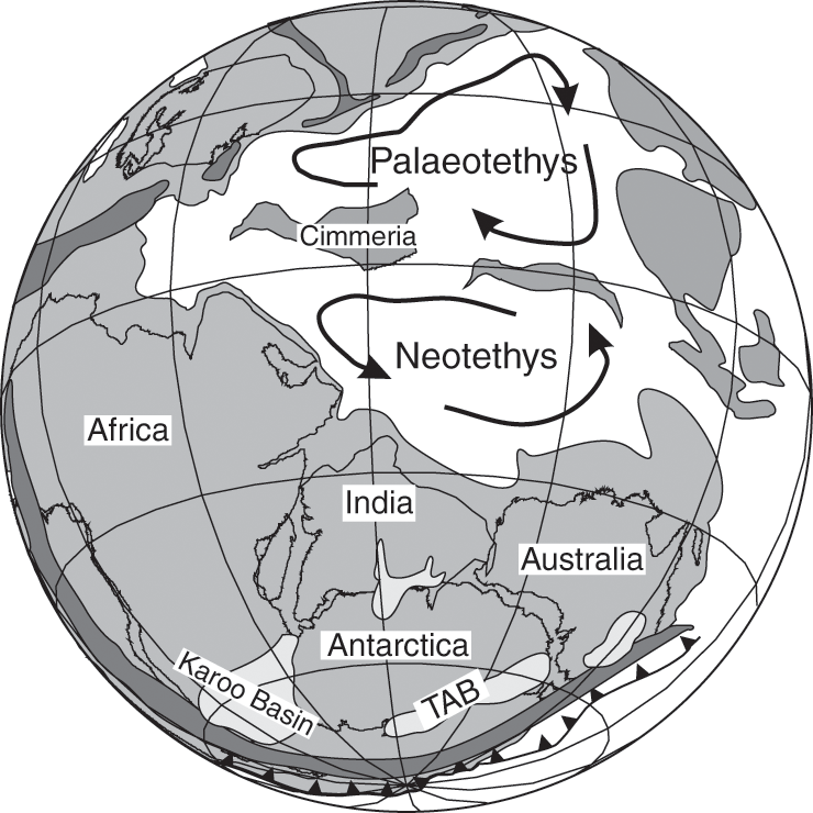 Icehouse to hothouse: floral turnover, the Permian–Triassic crisis