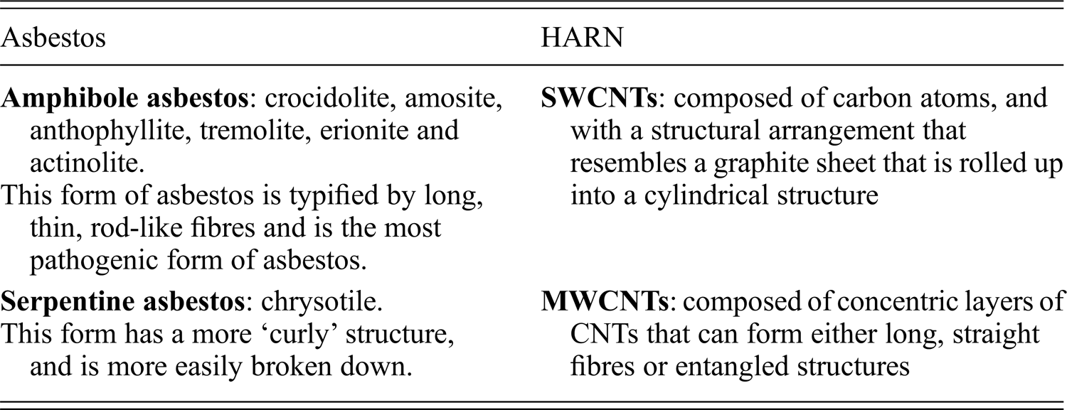 Carbon Nanotube Cellular Interactions Macrophages Epithelial And Mesothelial Cells Chapter 10 The Toxicology Of Carbon Nanotubes