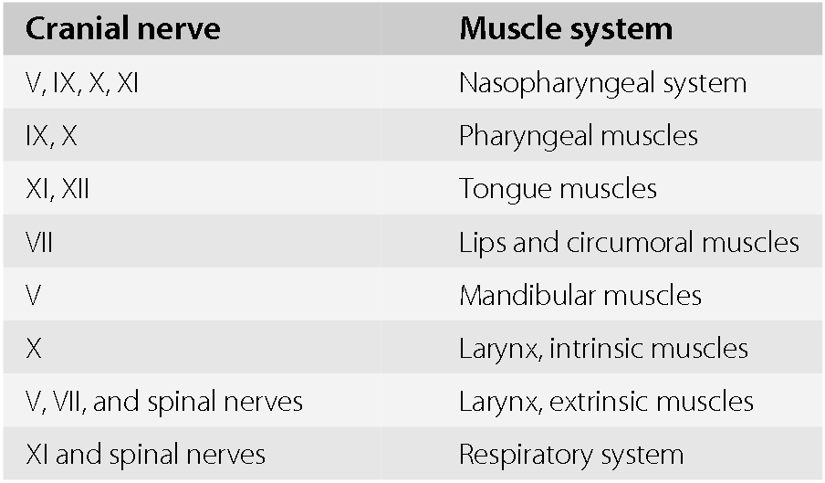 Types Of Dysarthria Chart