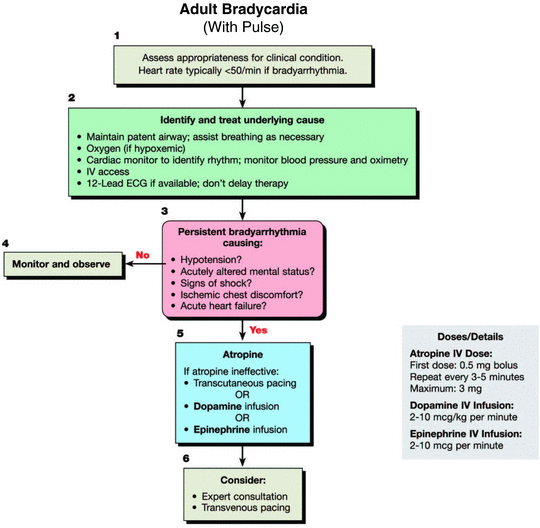 Cardiac Dysrhythmias Chapter 4 An Introduction To Clinical Emergency Medicine